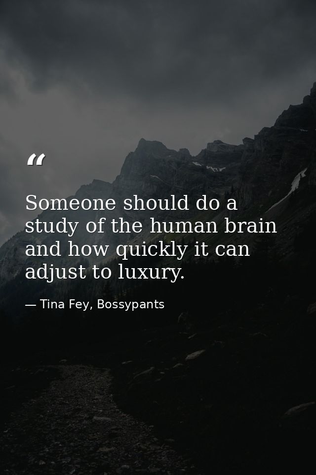 Someone should do a study of the human brain and how quickly it can adjust to luxury. — Tina Fey, Bossypants