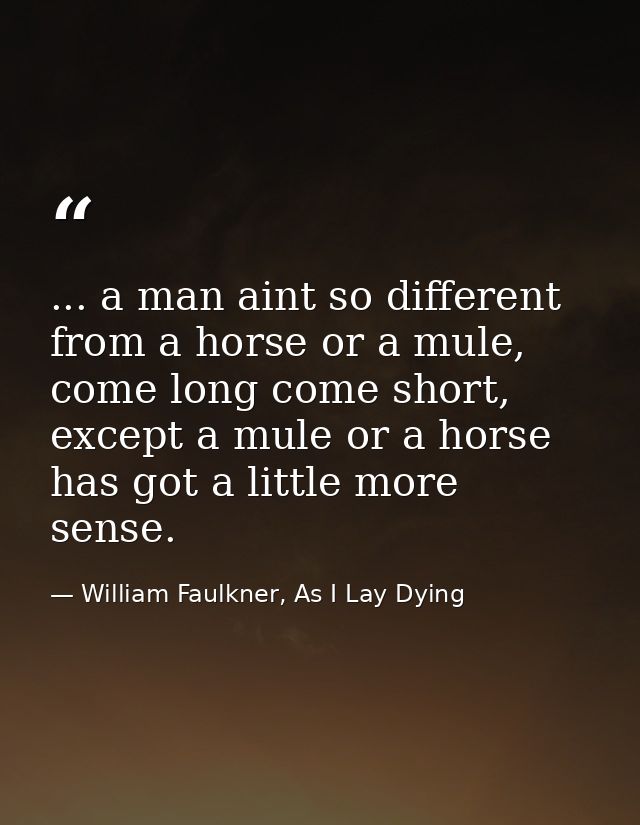 ... a man aint so different from a horse or a mule, come long come short, except a mule or a horse has got a little more — William Faulkner, As I Lay Dying