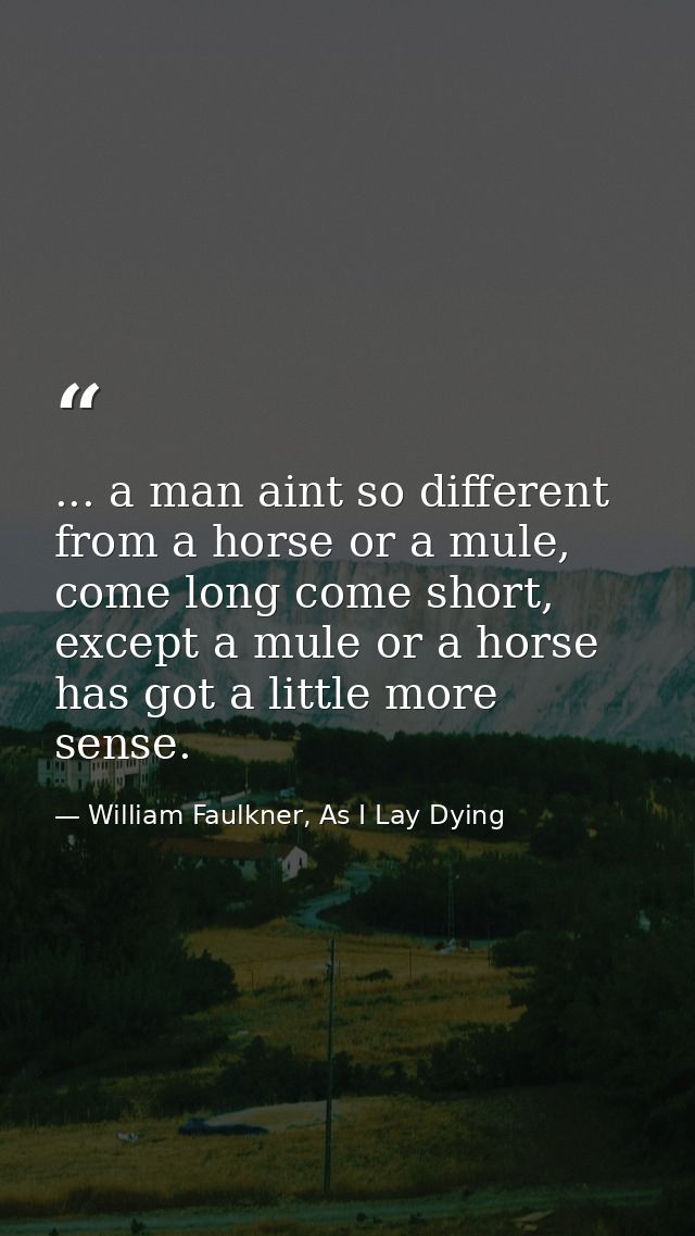 ... a man aint so different from a horse or a mule, come long come short, except a mule or a horse has got a little more — William Faulkner, As I Lay Dying