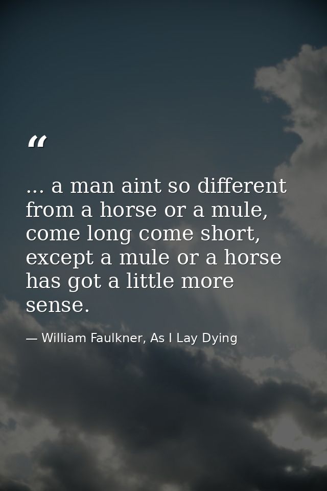 ... a man aint so different from a horse or a mule, come long come short, except a mule or a horse has got a little more — William Faulkner, As I Lay Dying