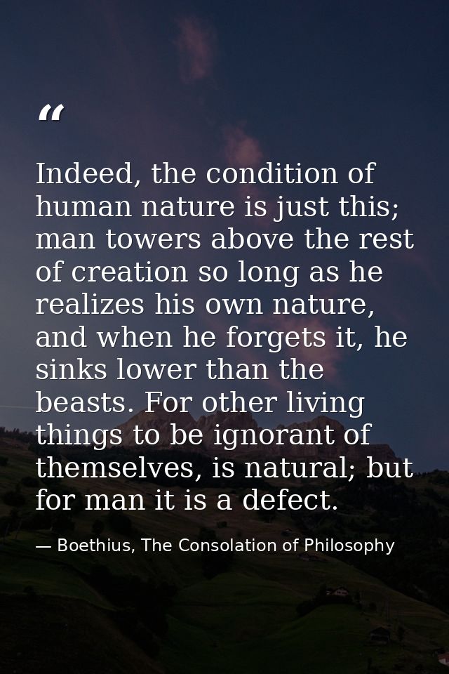 Indeed, the condition of human nature is just this; man towers above the rest of creation so long as he realizes his own — Boethius, The Consolation of Philosophy