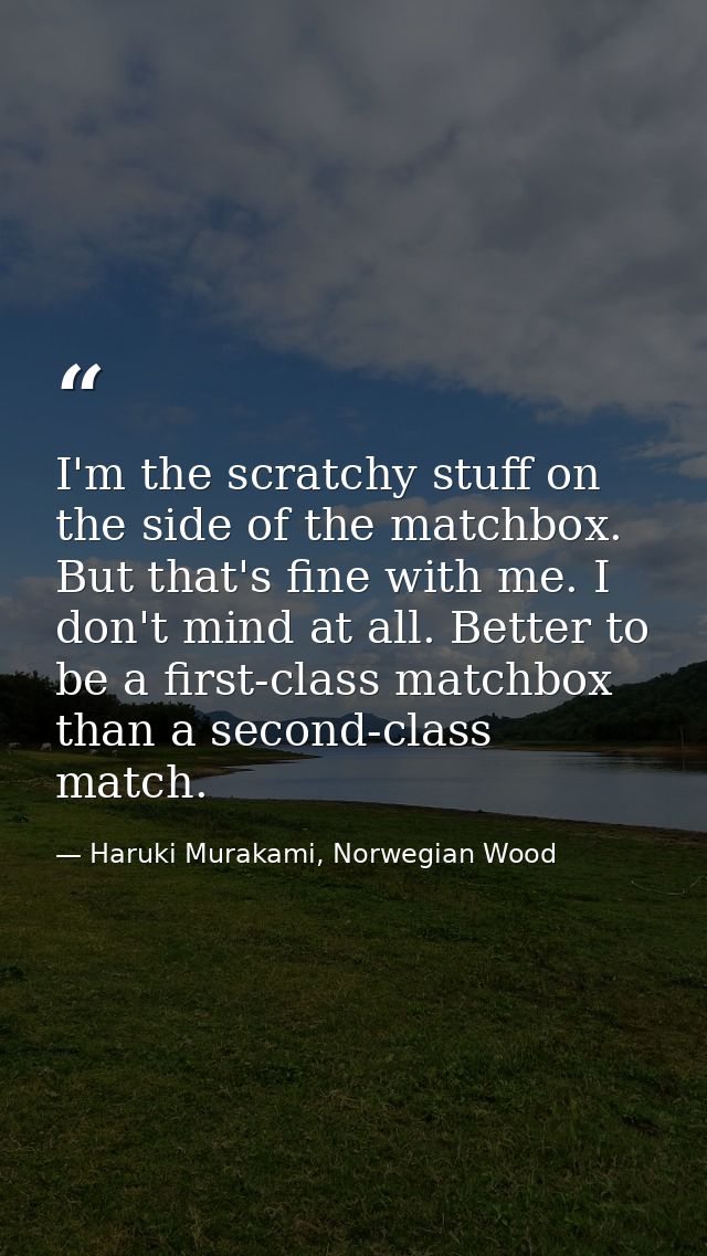 I'm the scratchy stuff on the side of the matchbox. But that's fine with me. I don't mind at all. Better to be a first-c — Haruki Murakami, Norwegian Wood