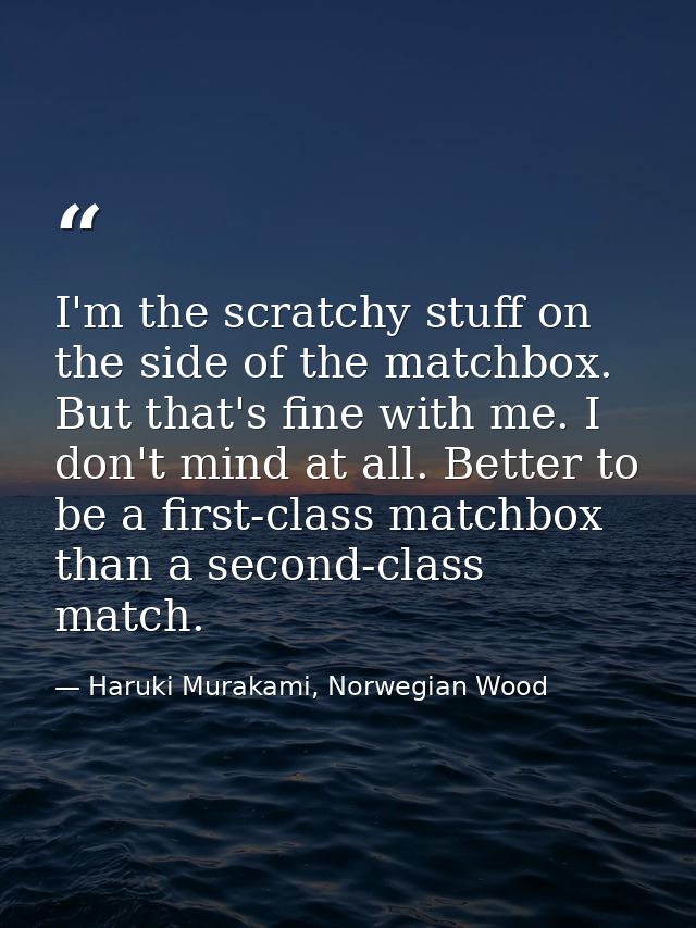 I'm the scratchy stuff on the side of the matchbox. But that's fine with me. I don't mind at all. Better to be a first-c — Haruki Murakami, Norwegian Wood