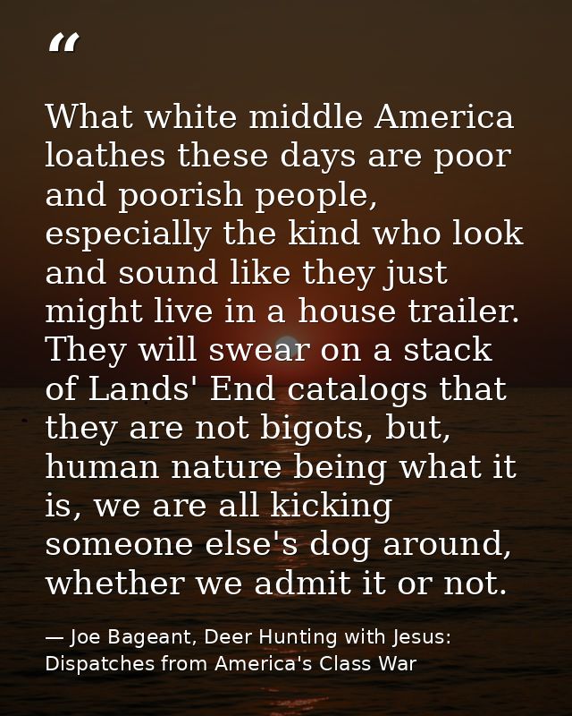 What white middle America loathes these days are poor and poorish people, especially the kind who look and sound like th — Joe Bageant, Deer Hunting with Jesus: Dispatches from America's Class War