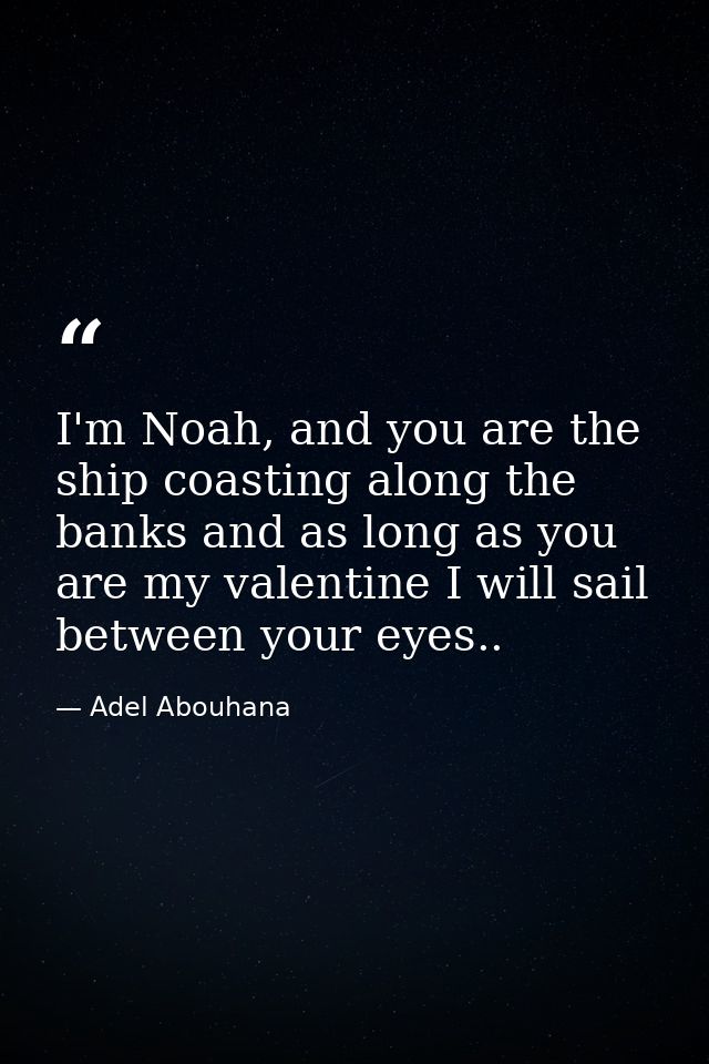 I'm Noah, and you are the ship coasting along the banks and as long as you are my valentine I will sail between your eye — Adel Abouhana