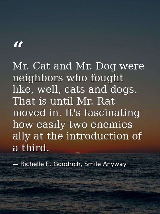 Mr. Cat and Mr. Dog were neighbors who fought like, well, cats and dogs. That is until Mr. Rat moved in. It's fascinatin — Richelle E. Goodrich, Smile Anyway
