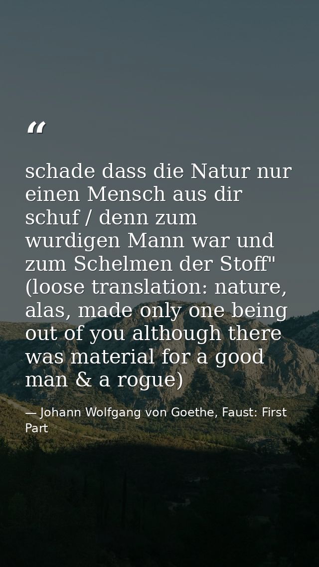 schade dass die Natur nur einen Mensch aus dir schuf / denn zum wurdigen Mann war und zum Schelmen der Stoff" (loose tra — Johann Wolfgang von Goethe, Faust: First Part