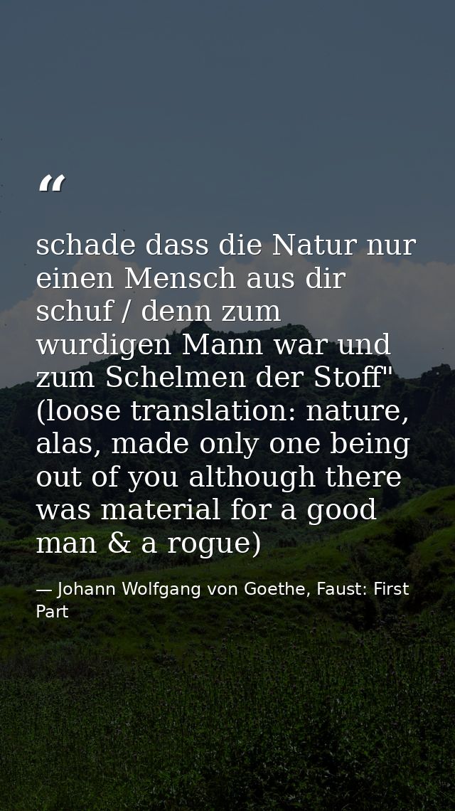 schade dass die Natur nur einen Mensch aus dir schuf / denn zum wurdigen Mann war und zum Schelmen der Stoff" (loose tra — Johann Wolfgang von Goethe, Faust: First Part