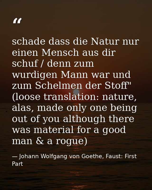 schade dass die Natur nur einen Mensch aus dir schuf / denn zum wurdigen Mann war und zum Schelmen der Stoff" (loose tra — Johann Wolfgang von Goethe, Faust: First Part