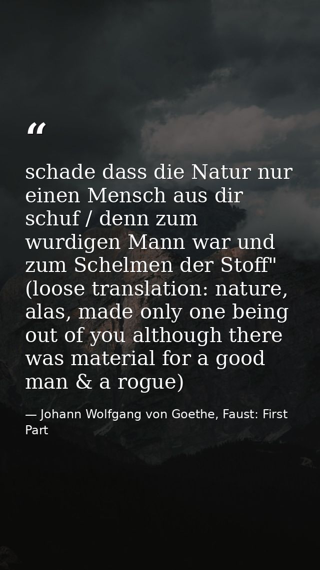 schade dass die Natur nur einen Mensch aus dir schuf / denn zum wurdigen Mann war und zum Schelmen der Stoff" (loose tra — Johann Wolfgang von Goethe, Faust: First Part