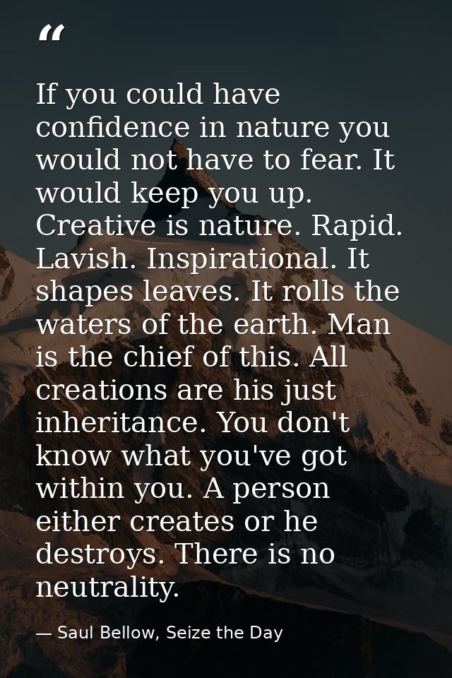 If you could have confidence in nature you would not have to fear. It would keep you up. Creative is nature. Rapid. Lavi — Saul Bellow, Seize the Day