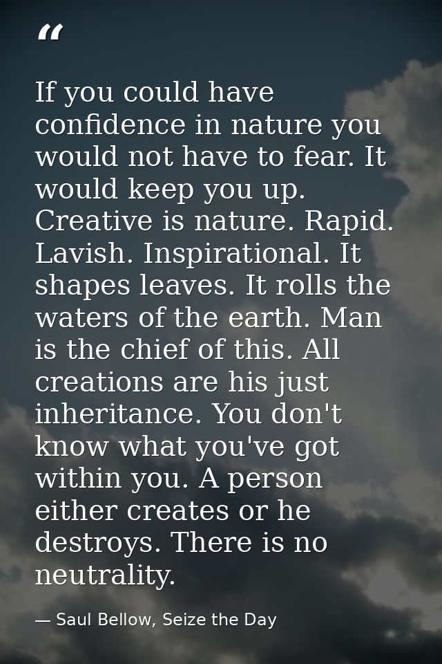 If you could have confidence in nature you would not have to fear. It would keep you up. Creative is nature. Rapid. Lavi — Saul Bellow, Seize the Day