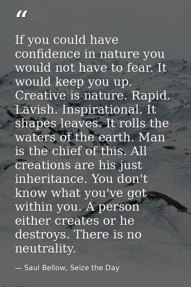 If you could have confidence in nature you would not have to fear. It would keep you up. Creative is nature. Rapid. Lavi — Saul Bellow, Seize the Day