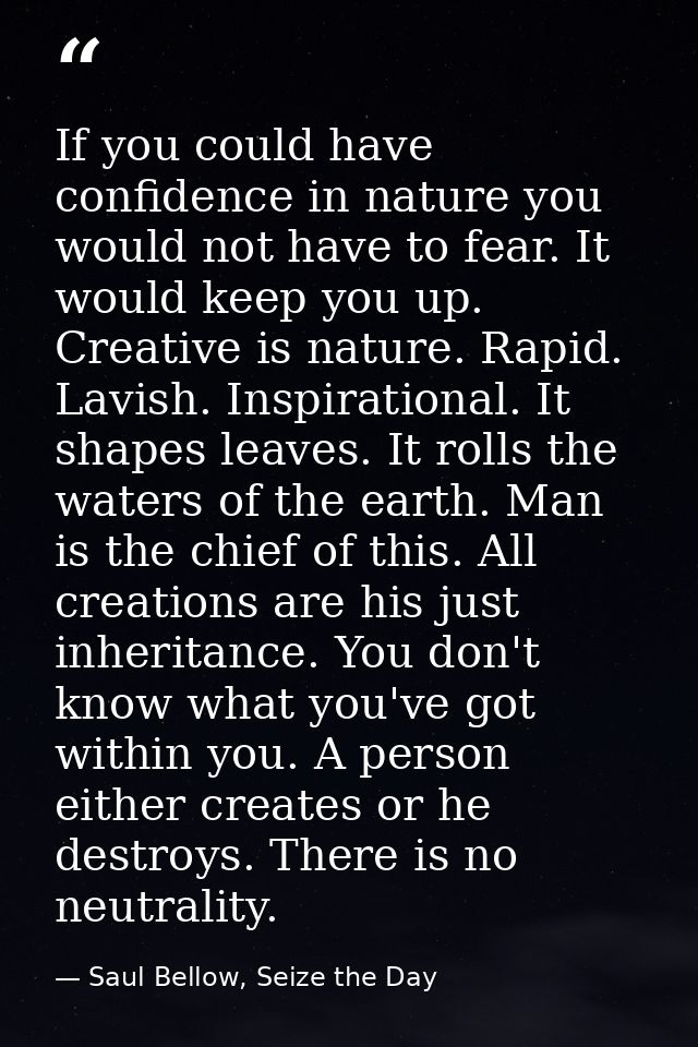 If you could have confidence in nature you would not have to fear. It would keep you up. Creative is nature. Rapid. Lavi — Saul Bellow, Seize the Day