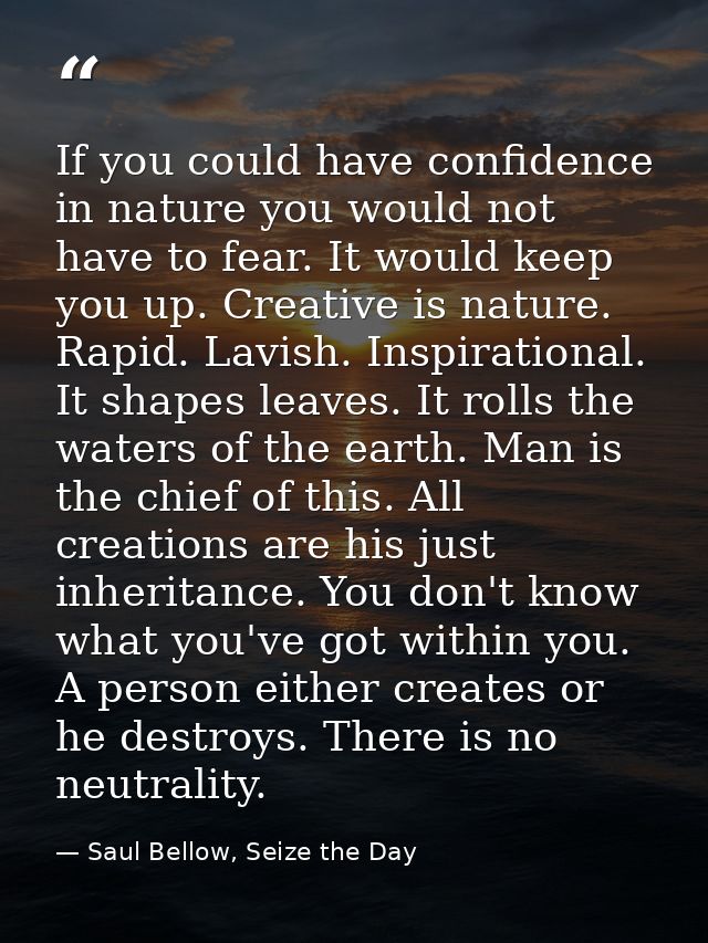 If you could have confidence in nature you would not have to fear. It would keep you up. Creative is nature. Rapid. Lavi — Saul Bellow, Seize the Day