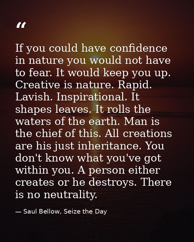 If you could have confidence in nature you would not have to fear. It would keep you up. Creative is nature. Rapid. Lavi — Saul Bellow, Seize the Day
