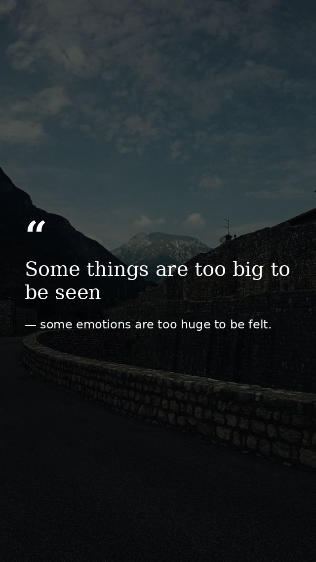 Some things are too big to be seen — some emotions are too huge to be felt.