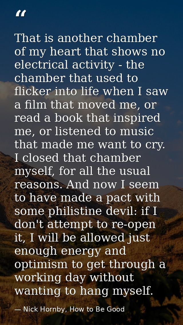 That is another chamber of my heart that shows no electrical activity - the chamber that used to flicker into life when  — Nick Hornby, How to Be Good