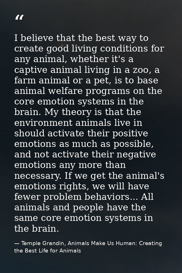 I believe that the best way to create good living conditions for any animal, whether it's a captive animal living in a z — Temple Grandin, Animals Make Us Human: Creating the Best Life for Animals