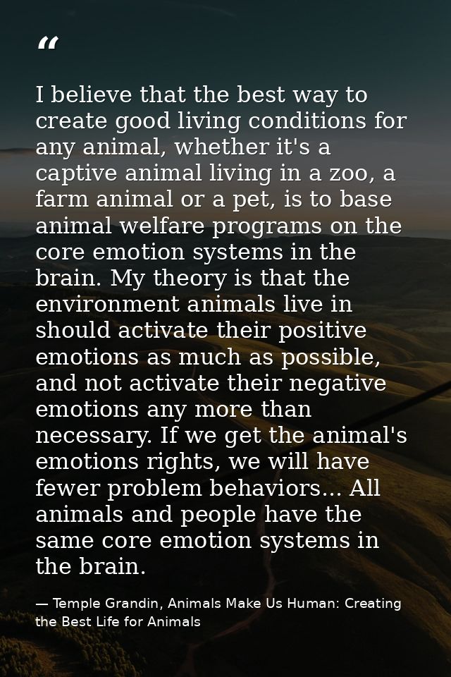 I believe that the best way to create good living conditions for any animal, whether it's a captive animal living in a z — Temple Grandin, Animals Make Us Human: Creating the Best Life for Animals