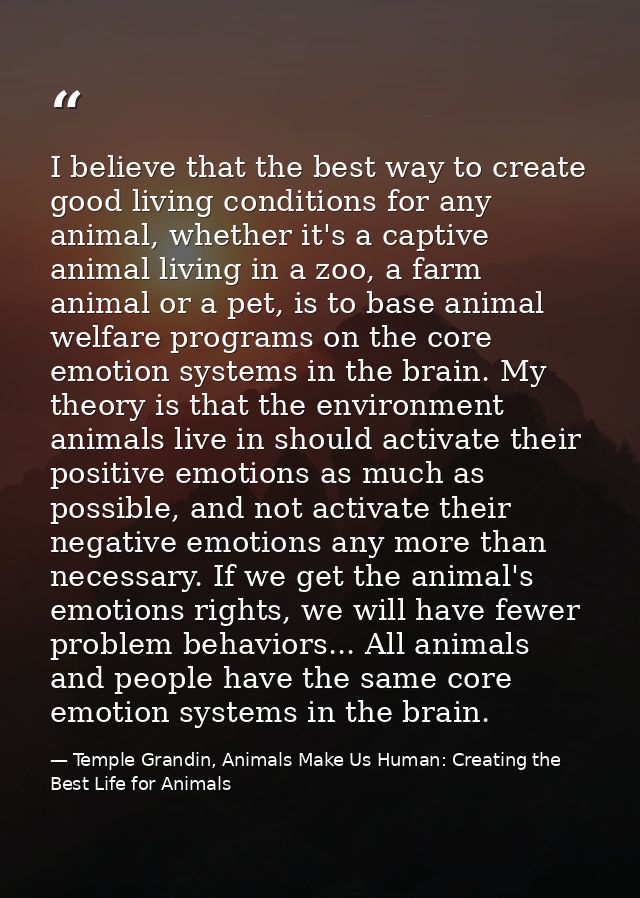 I believe that the best way to create good living conditions for any animal, whether it's a captive animal living in a z — Temple Grandin, Animals Make Us Human: Creating the Best Life for Animals