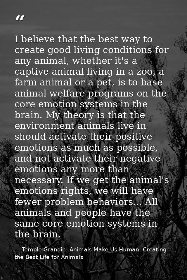 I believe that the best way to create good living conditions for any animal, whether it's a captive animal living in a z — Temple Grandin, Animals Make Us Human: Creating the Best Life for Animals