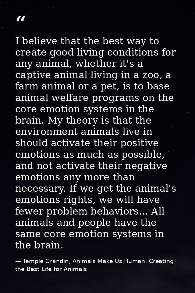 I believe that the best way to create good living conditions for any animal, whether it's a captive animal living in a z — Temple Grandin, Animals Make Us Human: Creating the Best Life for Animals