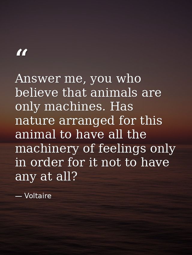Answer me, you who believe that animals are only machines. Has nature arranged for this animal to have all the machinery — Voltaire