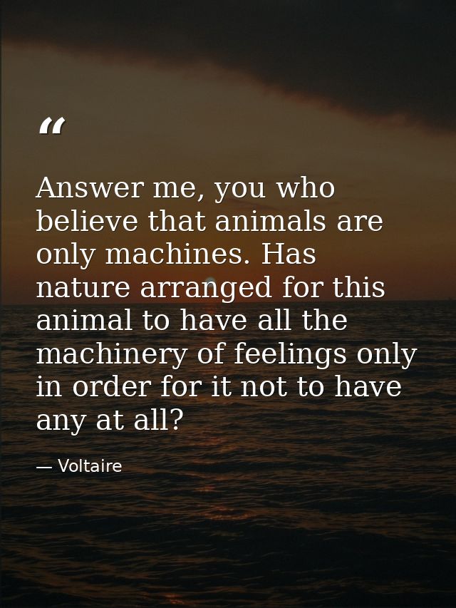 Answer me, you who believe that animals are only machines. Has nature arranged for this animal to have all the machinery — Voltaire