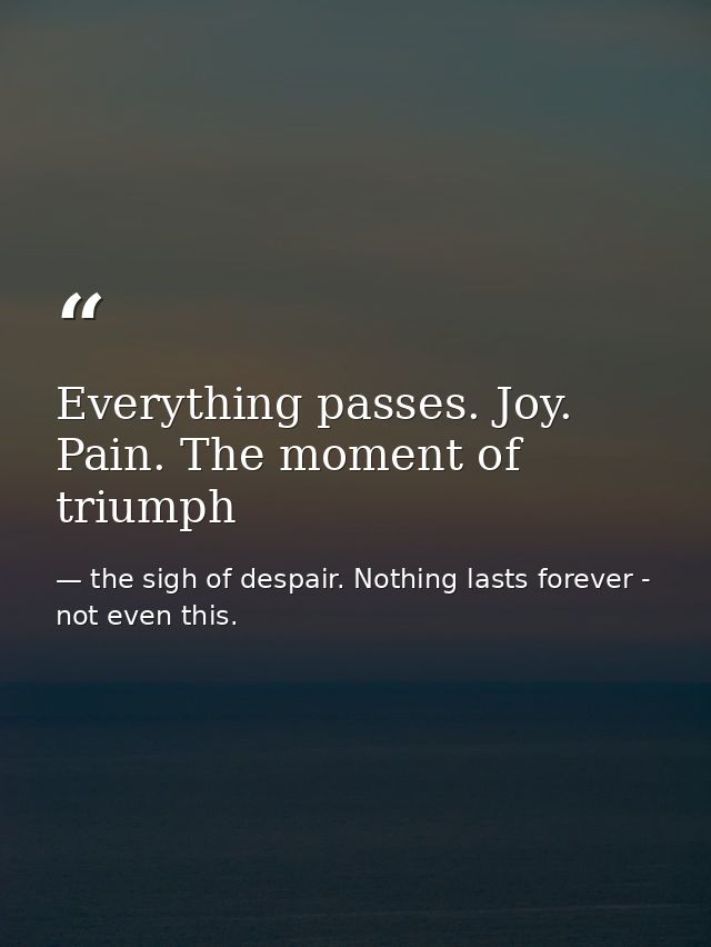 Everything passes. Joy. Pain. The moment of triumph — the sigh of despair. Nothing lasts forever - not even this.