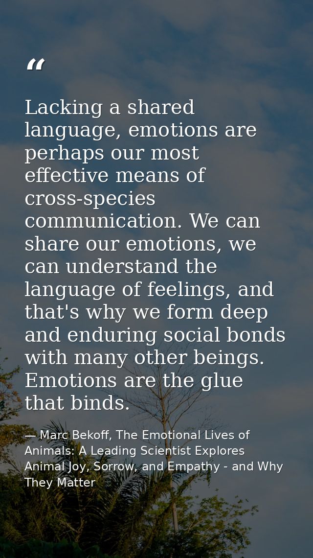 Lacking a shared language, emotions are perhaps our most effective means of cross-species communication. We can share ou — Marc Bekoff, The Emotional Lives of Animals: A Leading Scientist Explores Animal Joy, Sorrow, and Empathy - and Why They Matter