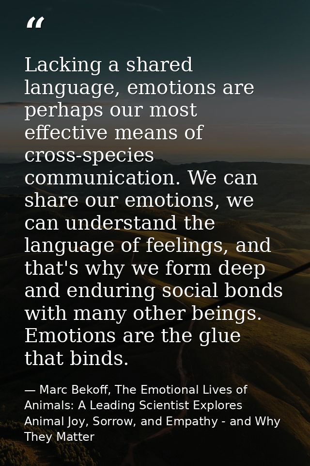 Lacking a shared language, emotions are perhaps our most effective means of cross-species communication. We can share ou — Marc Bekoff, The Emotional Lives of Animals: A Leading Scientist Explores Animal Joy, Sorrow, and Empathy - and Why They Matter