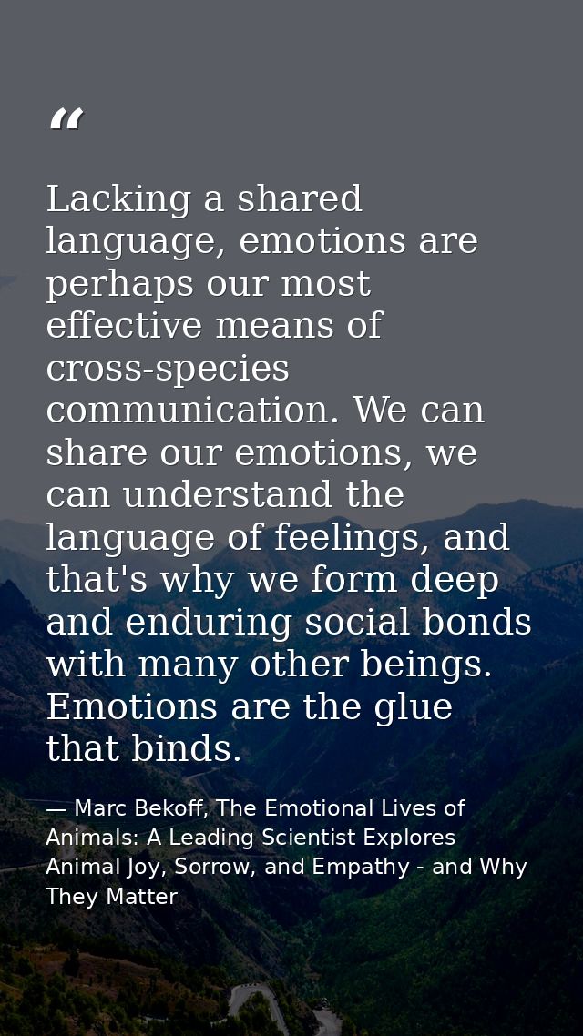 Lacking a shared language, emotions are perhaps our most effective means of cross-species communication. We can share ou — Marc Bekoff, The Emotional Lives of Animals: A Leading Scientist Explores Animal Joy, Sorrow, and Empathy - and Why They Matter
