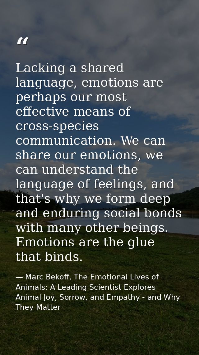 Lacking a shared language, emotions are perhaps our most effective means of cross-species communication. We can share ou — Marc Bekoff, The Emotional Lives of Animals: A Leading Scientist Explores Animal Joy, Sorrow, and Empathy - and Why They Matter