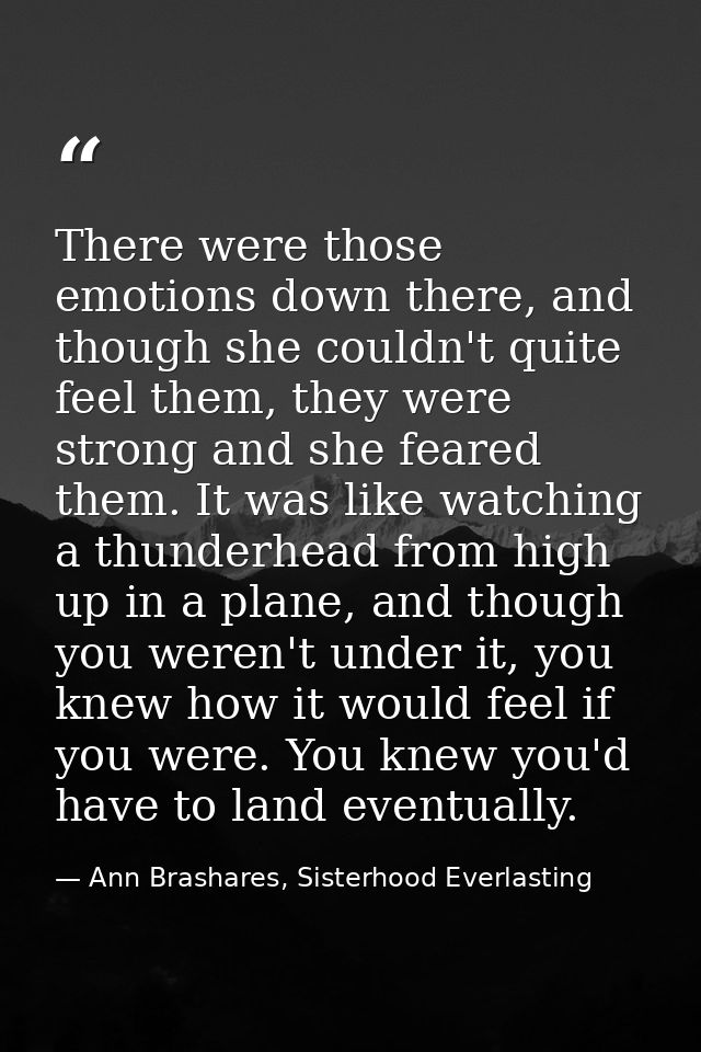 There were those emotions down there, and though she couldn't quite feel them, they were strong and she feared them. It  — Ann Brashares, Sisterhood Everlasting