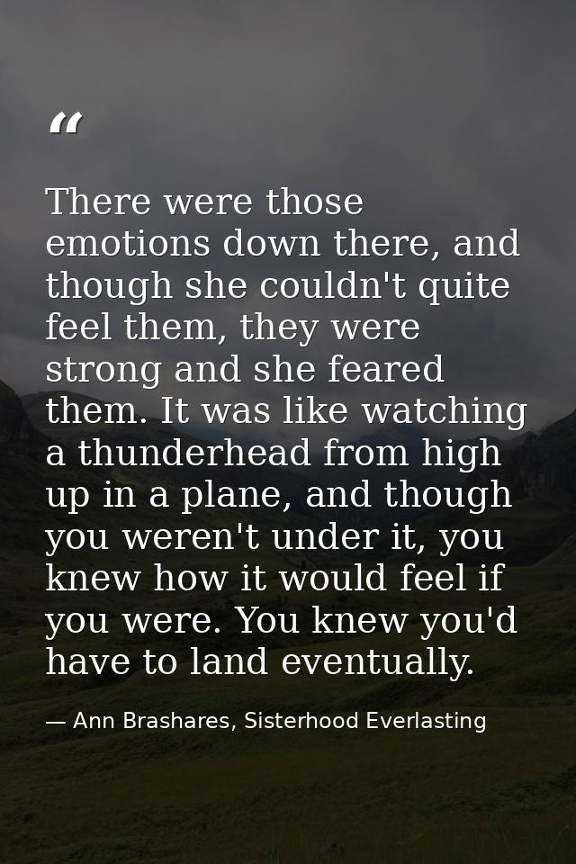 There were those emotions down there, and though she couldn't quite feel them, they were strong and she feared them. It  — Ann Brashares, Sisterhood Everlasting