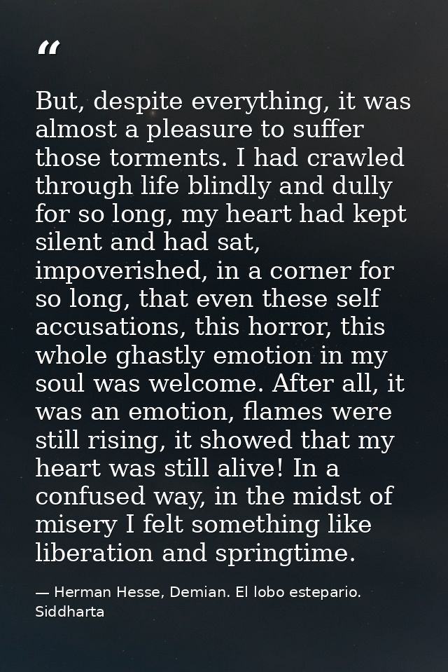 But, despite everything, it was almost a pleasure to suffer those torments. I had crawled through life blindly and dully — Herman Hesse, Demian. El lobo estepario. Siddharta