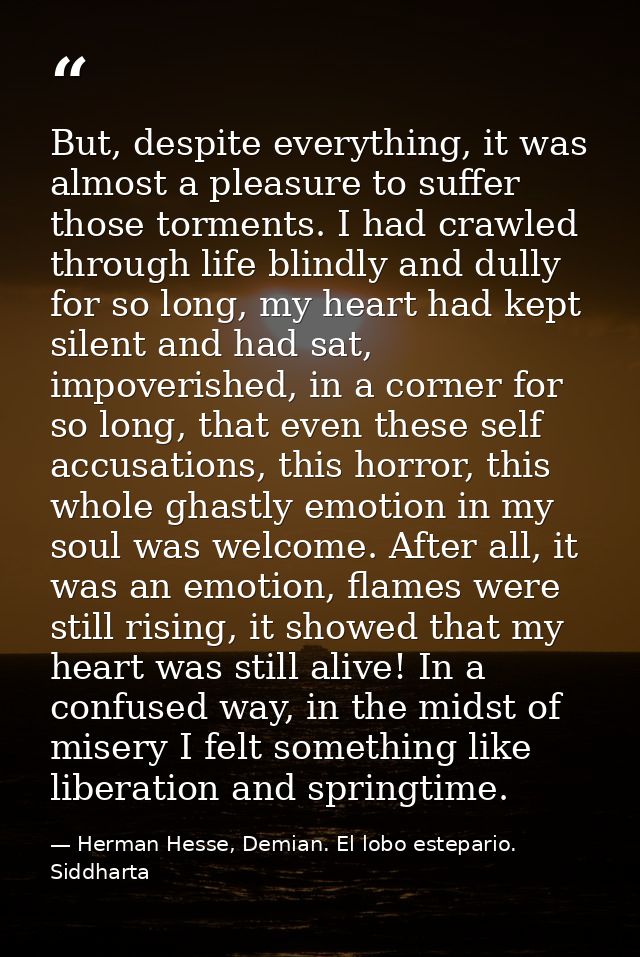 But, despite everything, it was almost a pleasure to suffer those torments. I had crawled through life blindly and dully — Herman Hesse, Demian. El lobo estepario. Siddharta