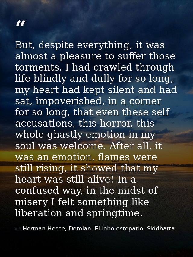 But, despite everything, it was almost a pleasure to suffer those torments. I had crawled through life blindly and dully — Herman Hesse, Demian. El lobo estepario. Siddharta