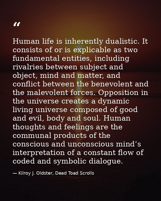 Human life is inherently dualistic. It consists of or is explicable as two fundamental entities, including rivalries bet — Kilroy J. Oldster, Dead Toad Scrolls