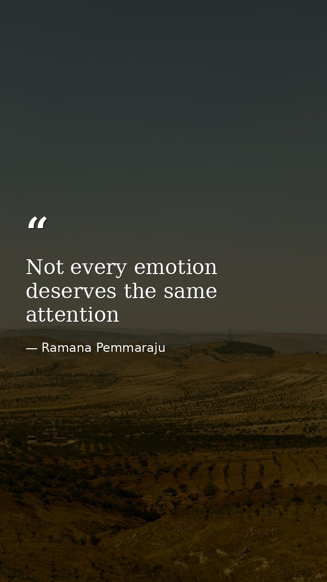 Not every emotion deserves the same attention — Ramana Pemmaraju