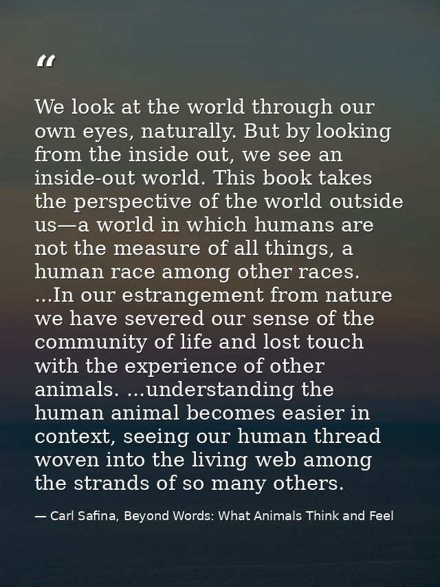 We look at the world through our own eyes, naturally. But by looking from the inside out, we see an inside-out world. Th — Carl Safina, Beyond Words: What Animals Think and Feel