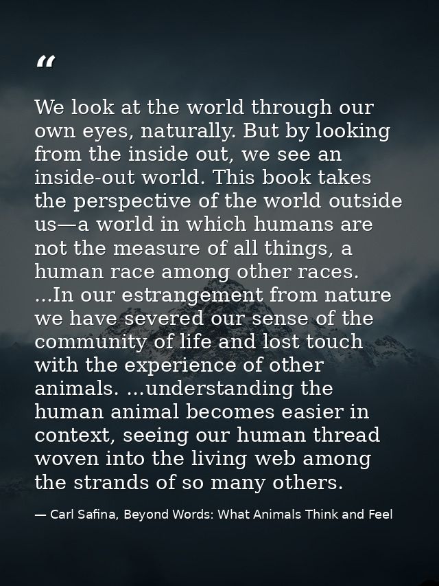 We look at the world through our own eyes, naturally. But by looking from the inside out, we see an inside-out world. Th — Carl Safina, Beyond Words: What Animals Think and Feel