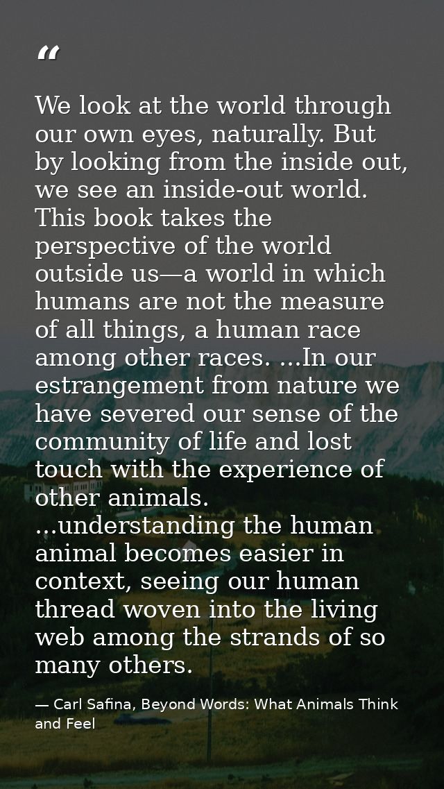 We look at the world through our own eyes, naturally. But by looking from the inside out, we see an inside-out world. Th — Carl Safina, Beyond Words: What Animals Think and Feel