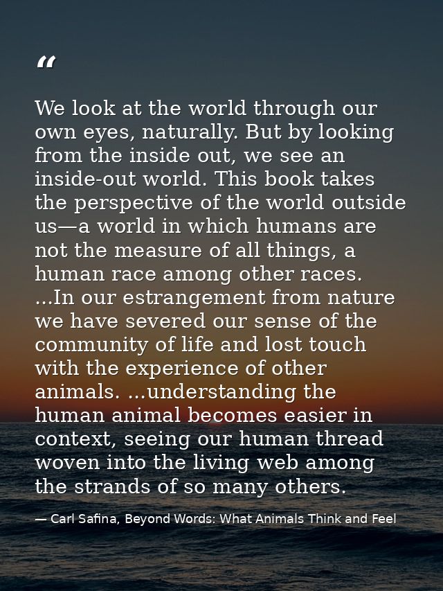 We look at the world through our own eyes, naturally. But by looking from the inside out, we see an inside-out world. Th — Carl Safina, Beyond Words: What Animals Think and Feel