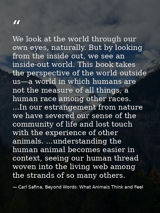 We look at the world through our own eyes, naturally. But by looking from the inside out, we see an inside-out world. Th — Carl Safina, Beyond Words: What Animals Think and Feel