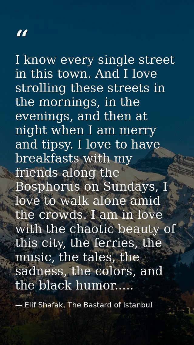 I know every single street in this town. And I love strolling these streets in the mornings, in the evenings, and then a — Elif Shafak, The Bastard of Istanbul