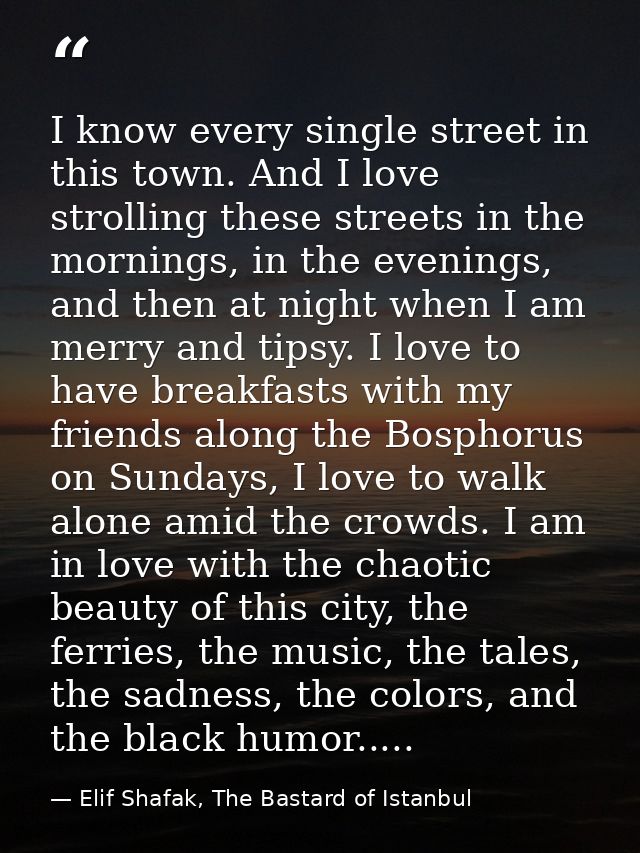 I know every single street in this town. And I love strolling these streets in the mornings, in the evenings, and then a — Elif Shafak, The Bastard of Istanbul