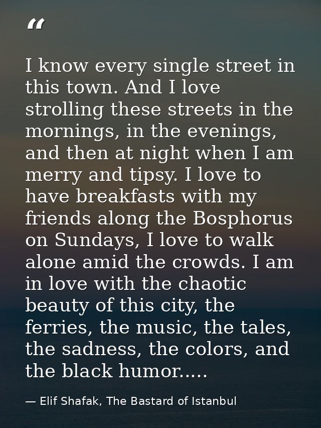 I know every single street in this town. And I love strolling these streets in the mornings, in the evenings, and then a — Elif Shafak, The Bastard of Istanbul