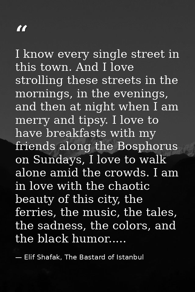 I know every single street in this town. And I love strolling these streets in the mornings, in the evenings, and then a — Elif Shafak, The Bastard of Istanbul